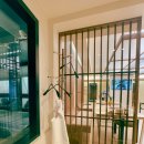 제주복어 이미지