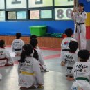 경희대 에이스태권도 이미지