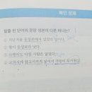 24년 적중여신 문법 이미지