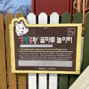 두솔아이 이미지