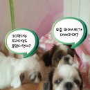 신도강남프라자 이미지