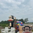 카페폴 - 남구 효우로93번길 9 | 카페폴