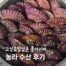 삼촌유통 | 농라 수산 가리비 후기 고성콧털삼촌 세척 보관 레시피