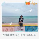 고내마을 | 제주올레길 15-B코스 추천 한림항부터 고내포구까지 곽지해수욕장·한담산책로 포함