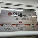 왕 행정사 이미지