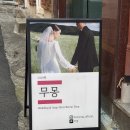 동원건장 | [무몽]가성비 셀프웨딩 드레스 피팅 도움 없이 혼자 방문한 후기 + 배송 기간까지