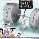 2월 20일 뉴우스 모음 이미지