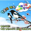 🕊️ 행운의 까치가 전하는 하루의 축복 🕊️ 이미지