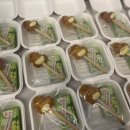 영일어린이집 이미지