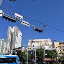 로이스치과의원 | 마산합포구 &#39;로이스제일치과의원&#39;