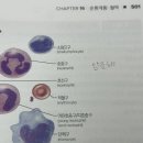 (주)엘엠에스 | 주르륵 녹아내려요…
