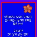 영아트 이미지