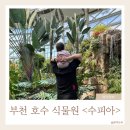 옥산초등학교(길주로 327) 앞 | 부천 아기랑 가볼만 한곳-부천 호수 식물원 &lt;수피아&gt;