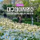 연못들5 | 대구 5월 꽃구경 가볼만한곳 이현공원 샤스타 데이지 이팝나무 명소