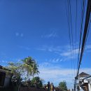 발리헬스 이미지