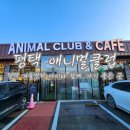 애니멀클럽 | 겨울방학 아이와 함께 가기 좋은 체험형 공간 평택 애니멀클럽 방문 후기
