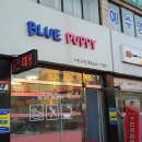 블루퍼피애견샵
