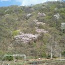 칠읍산장모텔 이미지