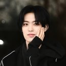 173 티브이데일리