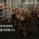 스탁키퍼 이미지