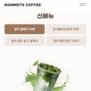 매머드익스프레스영통