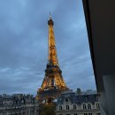 조이행복약국 이미지