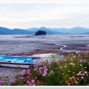 순천만풍경 이미지