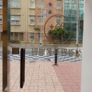 성경완 동물병원 이미지