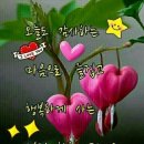 성남뒷길 이미지