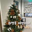 느루(NRU) 네이버블로그