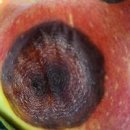 예산군농업기술센터 이미지