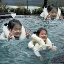 양경승숯불갈비 | 경주 소노캄 리조트 디럭스 스위트 내돈내산 후기(풀앤스파 수영장, 아기랑 숙소 맛집 추천)