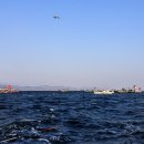 낚시마트 - 파주시 장승배기로 290 | 낚시마트