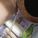 1691 | 치과다녀오고 업무보기(감사일기 1691)