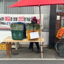 소풍고기마을 | 떠난 원동 미나리 삼겹살 나들이! 5번 집 대신 찾은 역 근처 '소풍길'미나리삼겹살 맛집 &amp; 시장 구경 후기