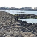 귀덕귀덕 이미지