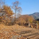 달사랑