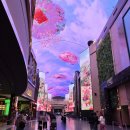 11545-03-24-05 | 인스파이어 리조트 7가지 놀거리 총정리 | 오로라쇼부터 짱랜드 스플래시베이까지