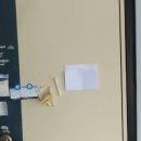 홍익늘푸른유치원 이미지