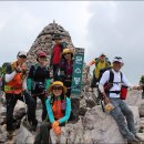 여름향기 이미지