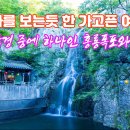 홍룡사 - 1811 | 홍룡사