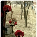 성심요양원 이미지