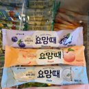 강화아이스크림할인점 | 달지 않고 상큼해서 위험한 맛!맛있는 아이스크림 추천 요물~ 요맘때(1일 2개씩 흡입중)