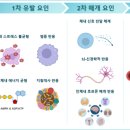 한술두술