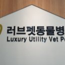 영등포동물병원 이미지