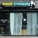 젠틀그루밍 이미지
