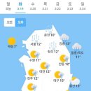 신용주공세탁 | 헤드라인뉴스/3월 19일 주요신문 헤드라인