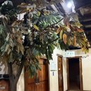 (주)스파렉스 굿모닝시티 이미지