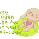 봄날햇살 이미지
