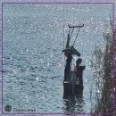 여강길(9코스 너른들길) 이미지